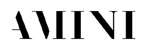 Amini